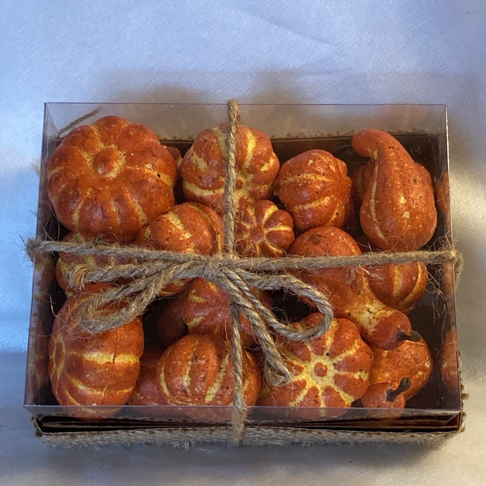 NWOT - Steinmart Orange Harvest Fall Halloween Holiday Pumpkin Gourd Assortment